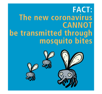 Mosquitoes and Covid-19