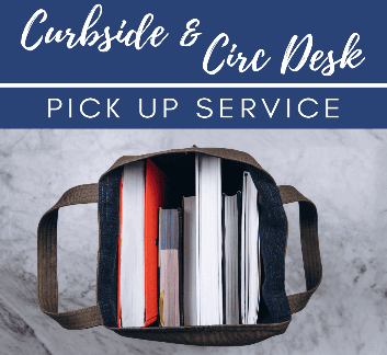 Photo of books in a tote bag