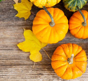 Image of pumpkins and leaves