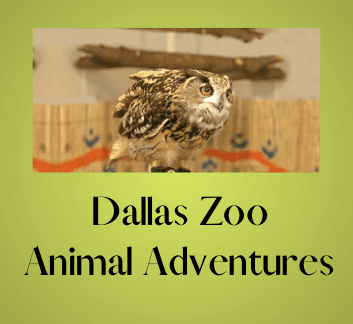 Dallas Zoo_Newsflash - 2