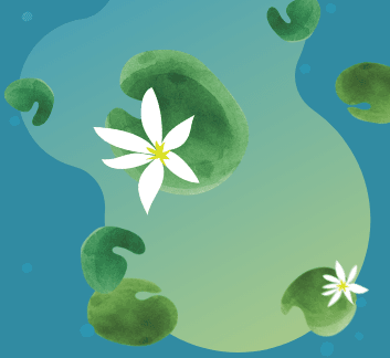 computer graphic image of a pond with floating lily pads