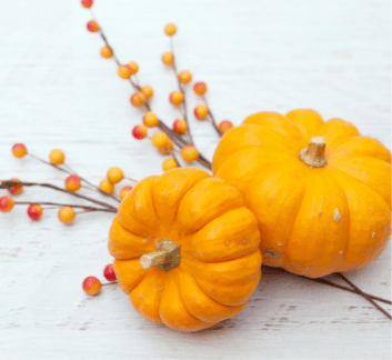 Two pumpkins with cranberries on a wood table