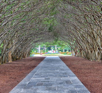 walkway at dallas arboretum
