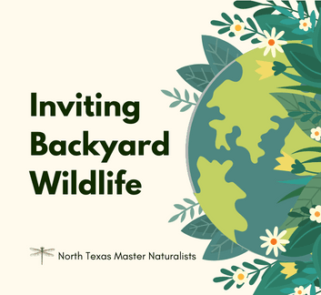 illustration of plant with planet earth