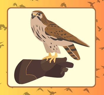 Youth Newsflashes 22-23