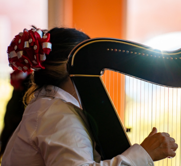 Picture of woman playing the harp